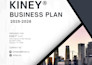 create professional business plan for you